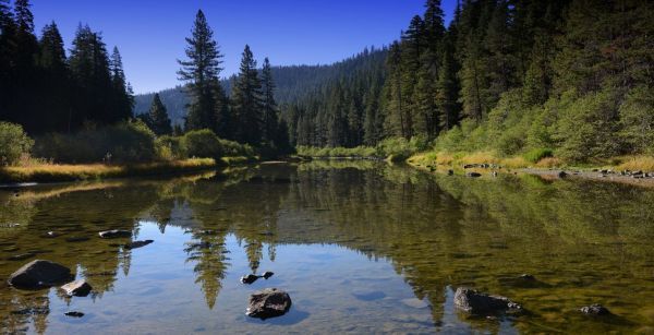 Mountain Hardware & Sports, Truckee Fishing Report - May 18th