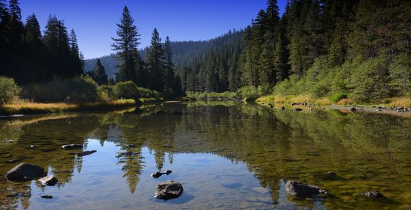 Mountain Hardware & Sports, Truckee Fishing Report - August 1st