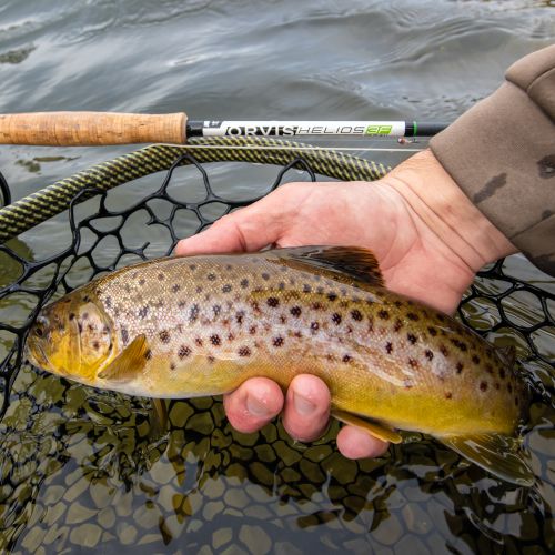Trout Creek Outfitters, TCO Fishing Report 1/16/21