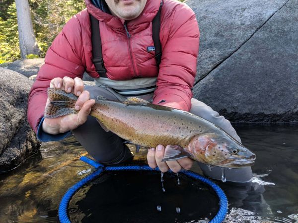 Trout Creek Outfitters, TCO Fishing Report 10/12/20