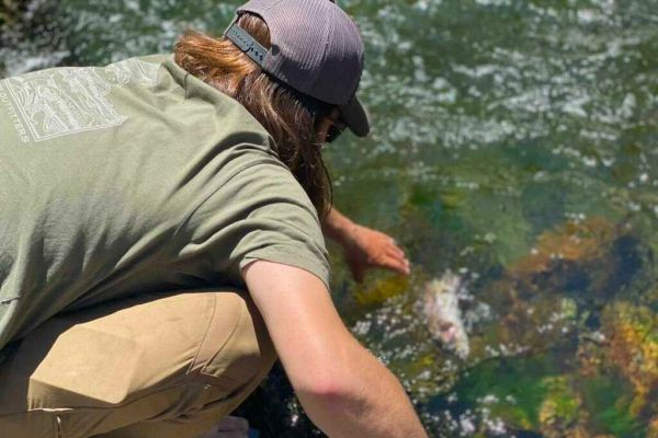 Trout Creek Outfitters, TCO Fishing Report 6/4/2021