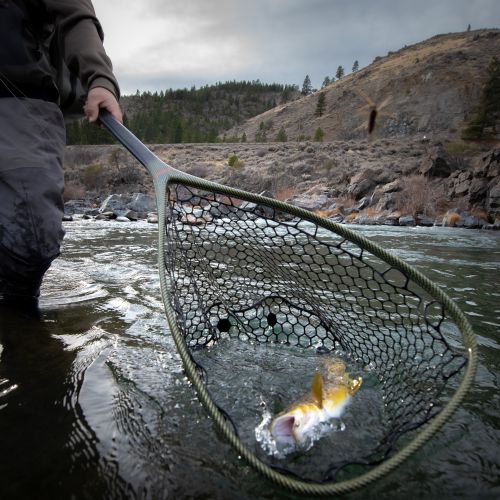 Trout Creek Outfitters, TCO Fishing Report 1/29/21
