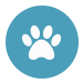 Tahoe Moon Properties Dog Friendly