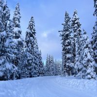 Tahoe will soon transform into a winter wonderland, and it's important to be prepared. Photo by Kirsten Alexis.