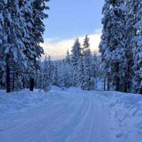 A road covered in snow after a storm. Photo Credit: Kirsten Alexis