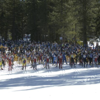 Skiers line up in preparation to start The Great Ski Race. Photo Credit: The Great Ski Race, Tahoe XC