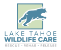 Lake Tahoe Wildlife Care