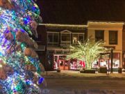 Downtown Holiday Festival & Bud Fish Tree Lighting Downtown Holiday Festival & Bud Fish Tree Lighting