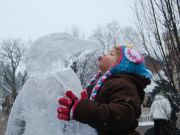 16th Annual Wine N Ice Sculpture Competition