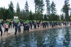 Big Blue Adventure, Sand Harbor Sharkfest Swim