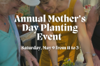 Tahoe Tree Company, Annual Mother’s Day Planting Event