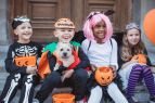 Tahoe City Public Utility District, Downtown Trick-or-Treat
