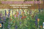 Sierra State Parks Foundation, Guided Wildflower Hike