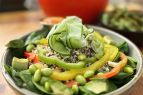 Fumo Tahoe, Buddha Bowl