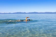 Swimming in cold water can be beneficial to your well-being. Photo by Christian Francisco. 