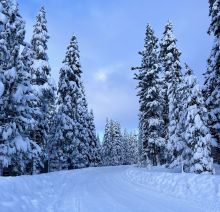 Tahoe will soon transform into a winter wonderland, and it's important to be prepared. Photo by Kirsten Alexis.