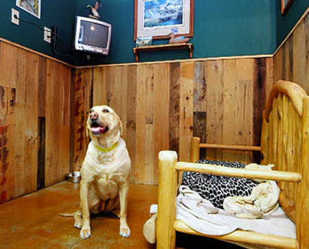 Truckee-Tahoe Pet Lodge, All-Suite Dog Resort