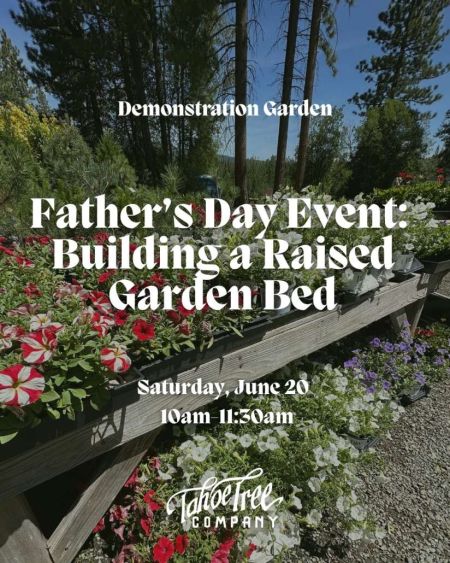 Tahoe Tree Company, Father’s Day Event: Building a Raised Bed