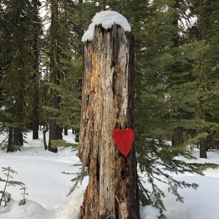 Tahoe XC, Share the Love Valentine's Day Ski