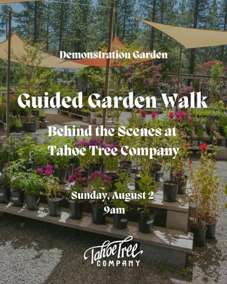 Tahoe Tree Company, Demonstration Garden: Guided Garden Walk – Behind the Scenes of TTC