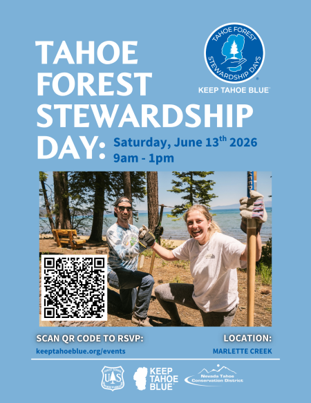 Keep Tahoe Blue, Tahoe Forest Stewardship Day