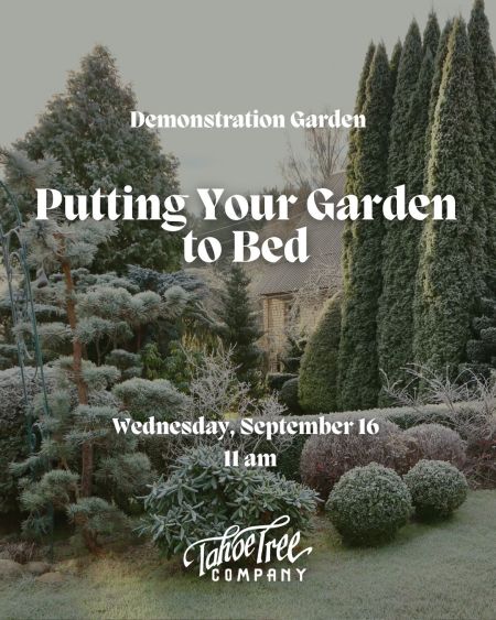 Tahoe Tree Company, Demonstration Garden: Putting Your Garden to Bed for Winter