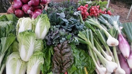 Truckee Certified Farmers Market, Truckee Certified Farmers Market