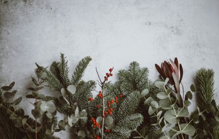 Stillwater Spa & Salon, Holiday Moonlight Madness