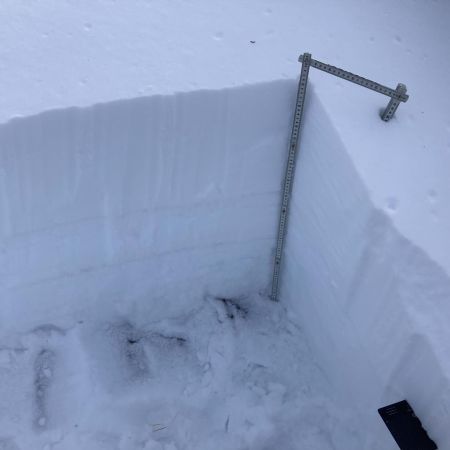 Sierra Avalanche Center, Motorized Avalanche Rescue