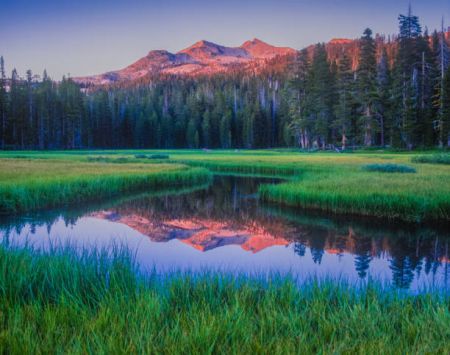 Tahoe Art League, Spring Art Show: Call For Artists