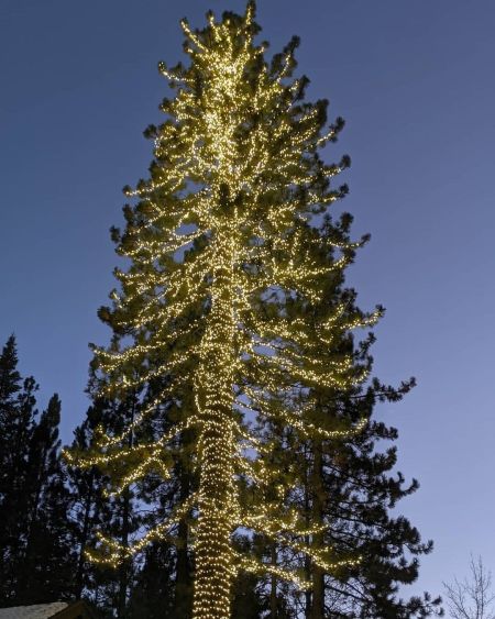 Tahoe City Downtown Association, Community Tree Lighting