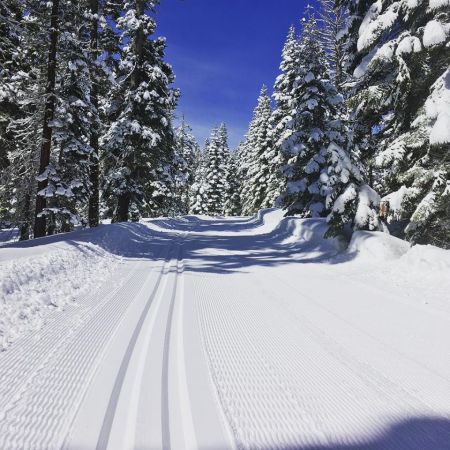 Tahoe XC, Old Skool Klassic Race