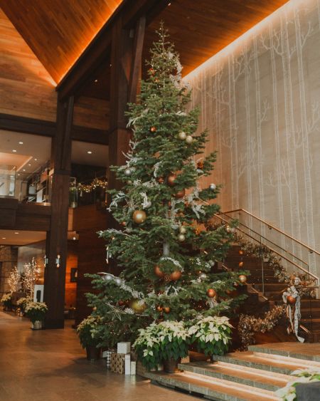 Edgewood Tahoe Resort, Annual Christmas Tree Lighting