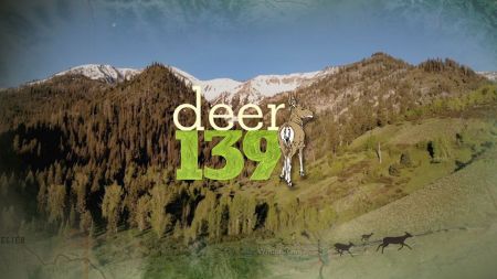 Coalition Snow, Deer 139 Film Screening