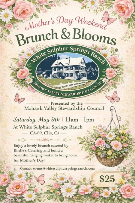 Lost Sierra Events, Brunch & Blooms
