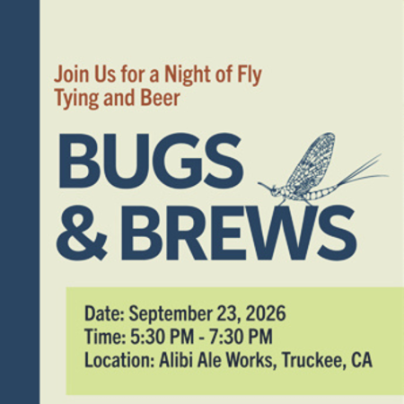 Alibi Ale Works, Bugs & Brews