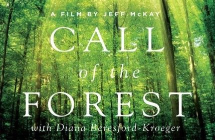 South Lake Tahoe Library, Film: Call of the Forest: The Forgotten Wisdom of Trees