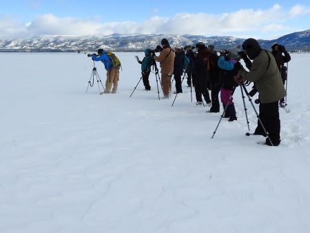 Tahoe Institute for Natural Science, South Lake Tahoe Christmas Bird Count