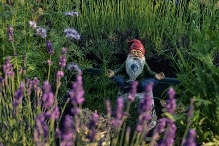 Tahoe Tree Company, Community Garden: Build Your Own Fairy Gnome Garden!