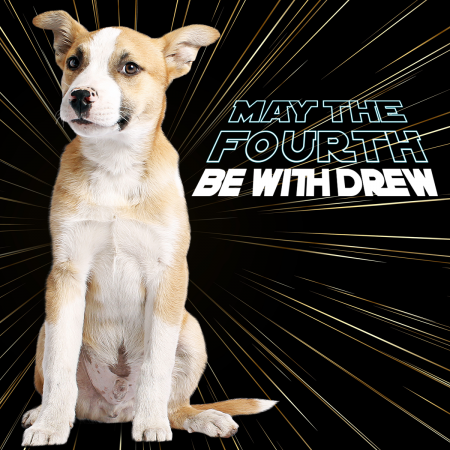 Humane Society of Truckee-Tahoe, The Humane Society of Truckee-Tahoe Hosting Donation Drive and Adoption Event on May 4