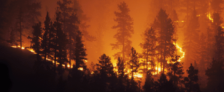 The Lodge Restaurant & Pub, Truckee Fire Community Wildfire Protection Plan Meeting