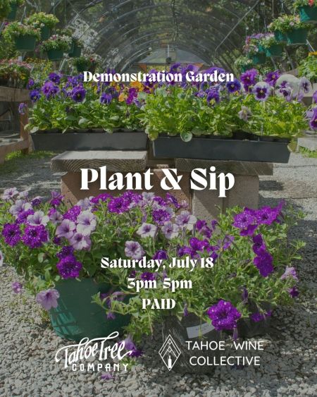 Tahoe Tree Company, Demonstration Garden: Plant and Sip