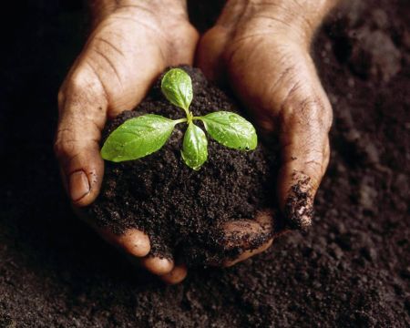 Lake Tahoe Community College, Intro to Permaculture & Companion Planting