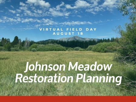 Lake Tahoe Events, Virtual Field Tour of Johnson Meadow Restoration Project