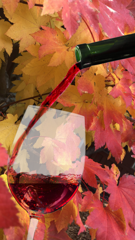The Pour House, Fall Favorites Wine Wednesday Tasting