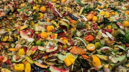 UC Davis Tahoe Science Center, Science Speaks Series: Why is a third of food wasted worldwide?
