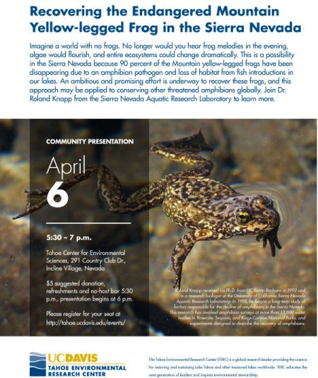 UC Davis Tahoe Science Center, Recovering the Endangered Mountain Yellow-legged Frog in the Sierra Nevada
