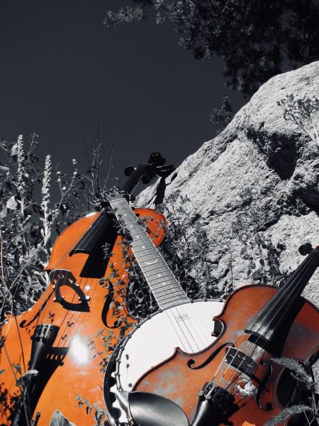 Lost Trail Lodge, Backcountry Bikes and Bluegrass