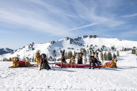The Village at Palisades Tahoe, Gallery Keoki Annual Celebrity Hound Hobnob