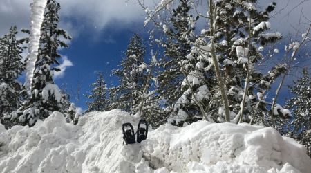 Tahoe Rim Trail Association, Trail Talk: Snow Camping and Snowshoeing on the Tahoe Rim Trail